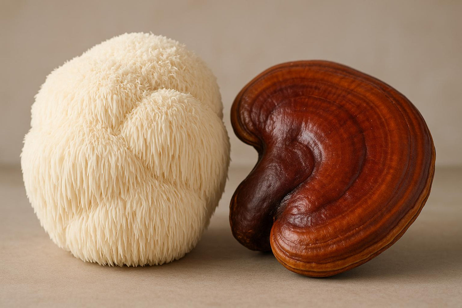 Lion's Mane vs Reishi: Which is Better?